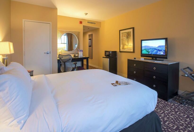 Doubletree Suites By Hilton Hotel Detroit Downtown   Fort Shelby