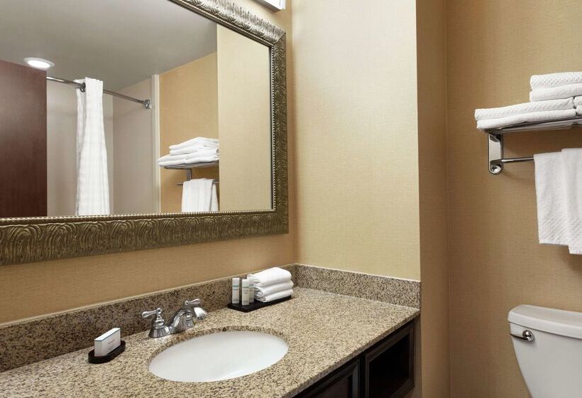 هتل Embassy Suites By Hilton Huntsville