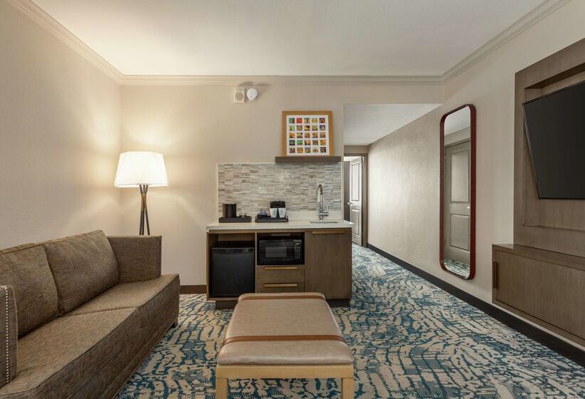 בית מלון כפרי Embassy Suites By Hilton Tampa Downtown Convention Center