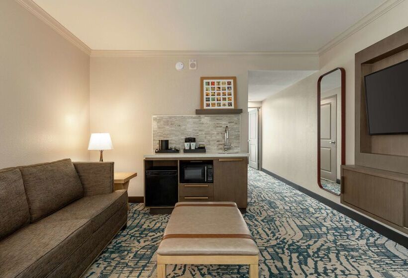 בית מלון כפרי Embassy Suites By Hilton Tampa Downtown Convention Center