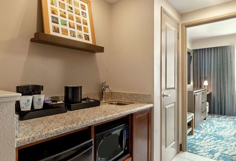 בית מלון כפרי Embassy Suites By Hilton Tampa Downtown Convention Center