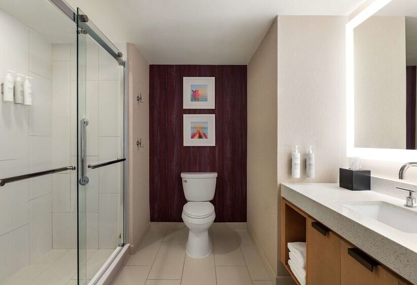 בית מלון כפרי Embassy Suites By Hilton Tampa Downtown Convention Center