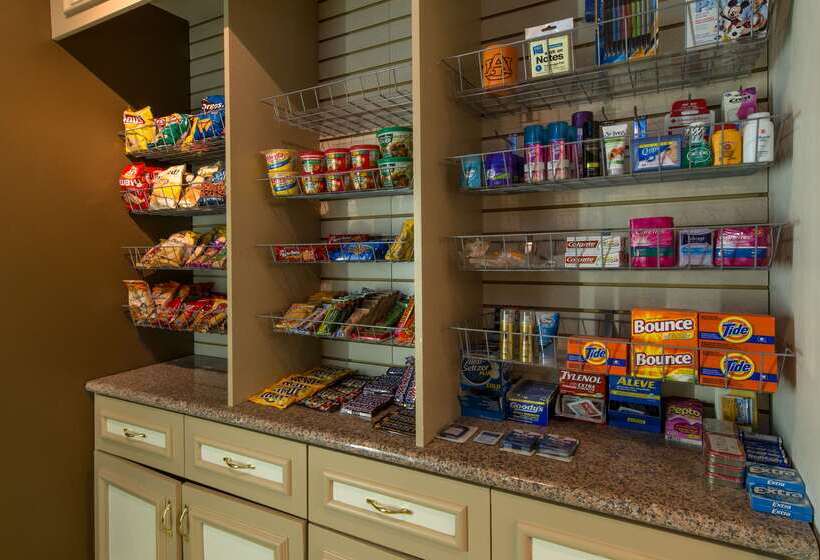 בית מלון כפרי Hilton Garden Inn Auburn/opelika