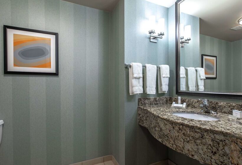 فندق Hilton Garden Inn Lynchburg