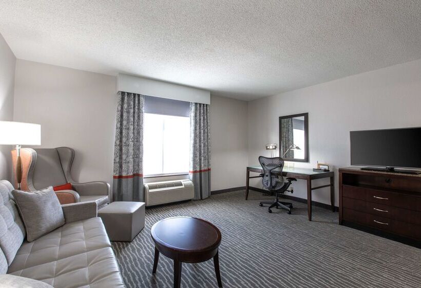 فندق Hilton Garden Inn Lynchburg