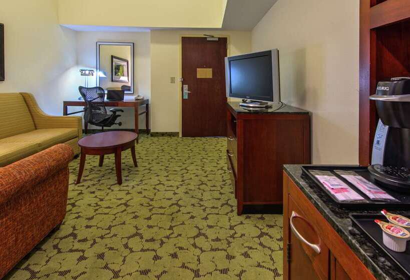 هتل Hilton Garden Inn Macon / Mercer University