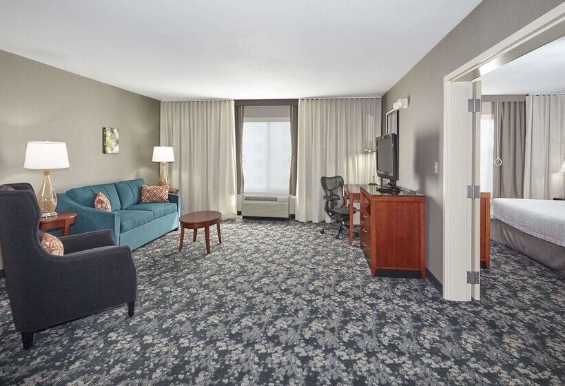 هتل Hilton Garden Inn Schaumburg