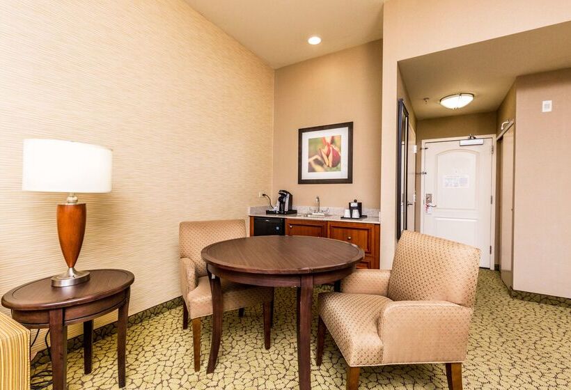 هتل Hilton Garden Inn St. George