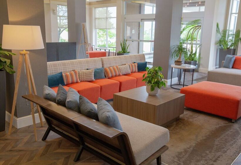 فندق Hilton Garden Inn Temple Medical Center