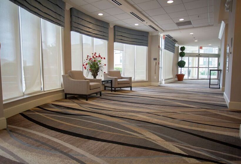 فندق Hilton Garden Inn Temple Medical Center