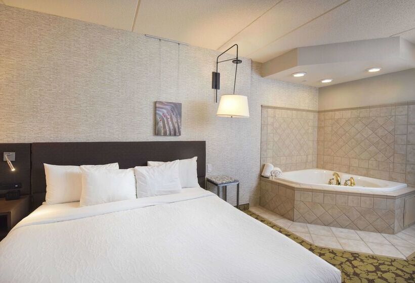 هتل Hilton Garden Inn Wisconsin Dells