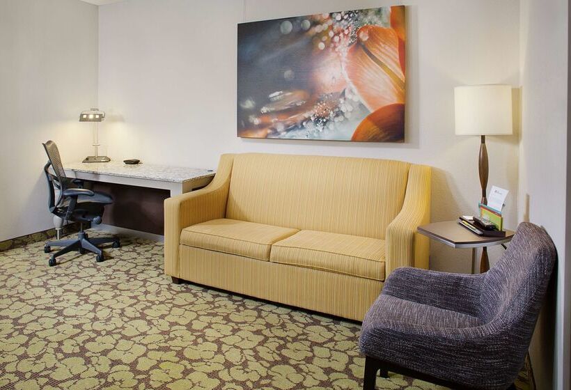 هتل Hilton Garden Inn Wisconsin Dells