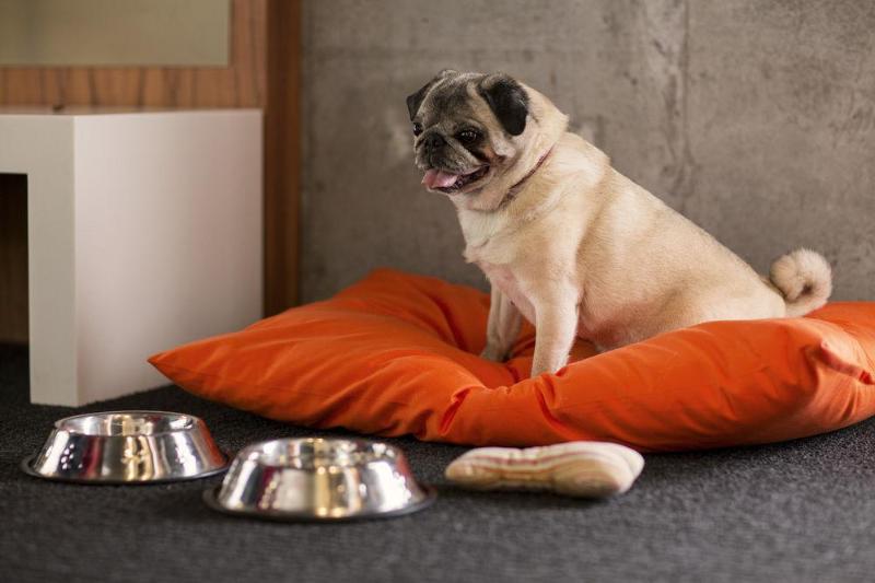 酒店 Hôtel Alt Quartier Dix30