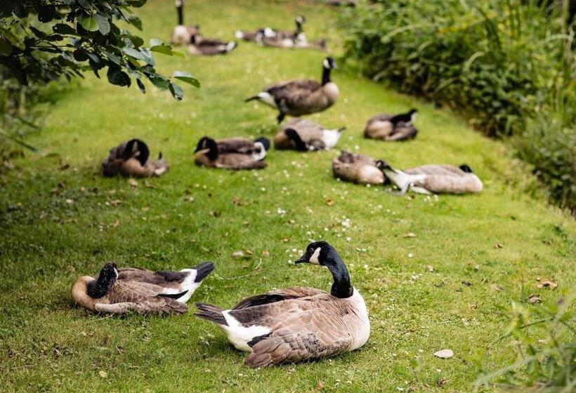 فندق Landgoed Overste Hof