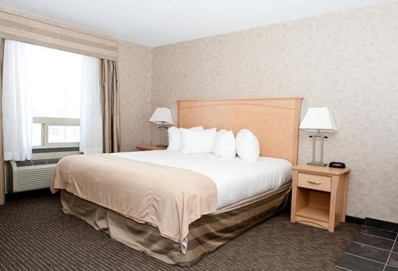 ホテル Paradise Inn And Suites