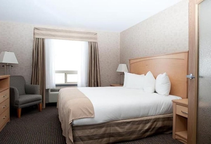 ホテル Paradise Inn And Suites