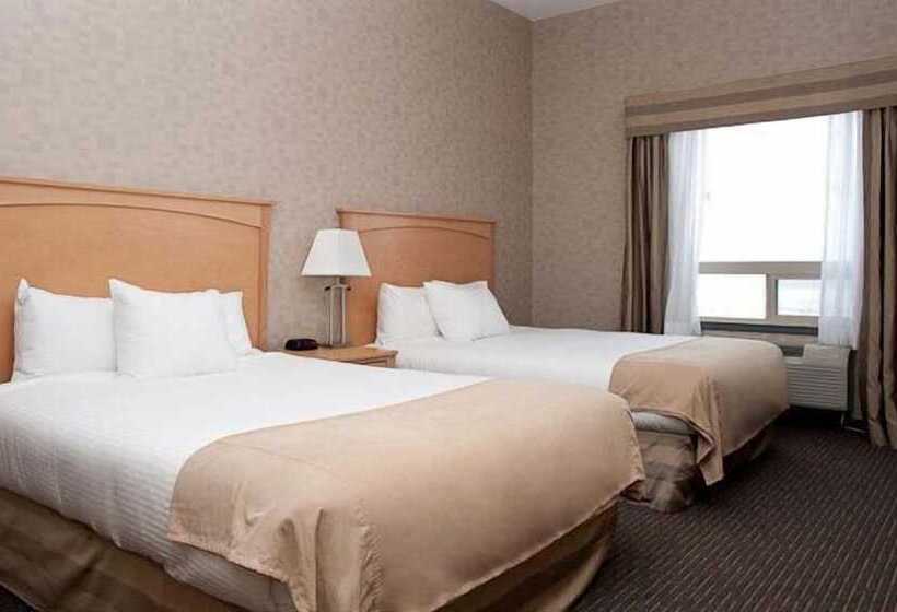 فندق Paradise Inn And Suites