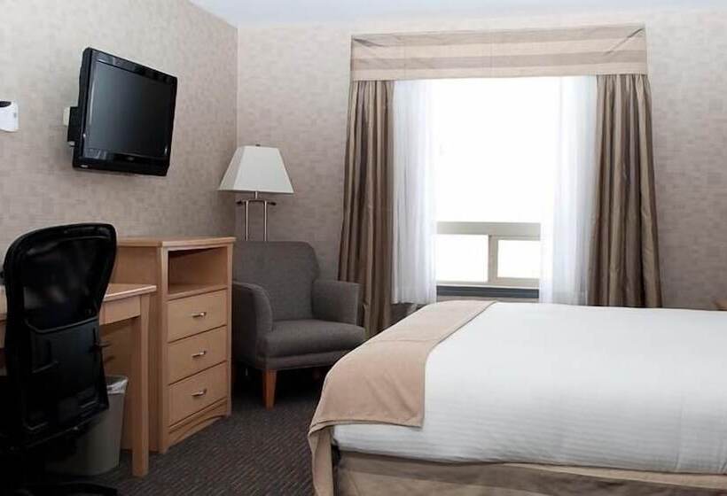 ホテル Paradise Inn And Suites