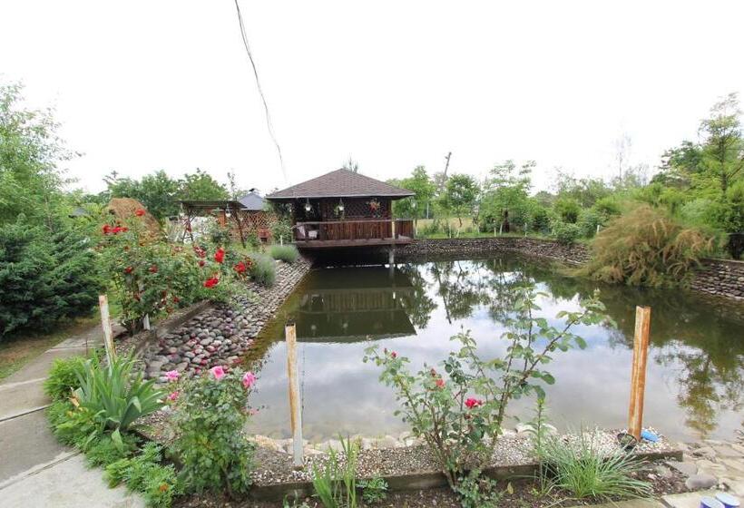 Bed and Breakfast фазенда змерега