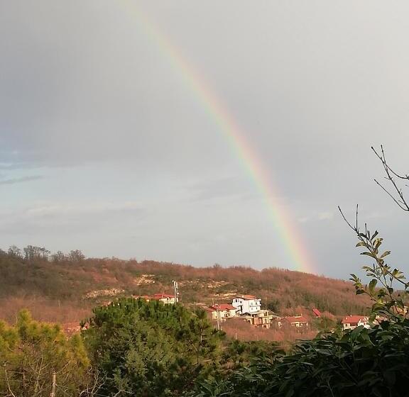 بنسيون Le Coste Affittacamere