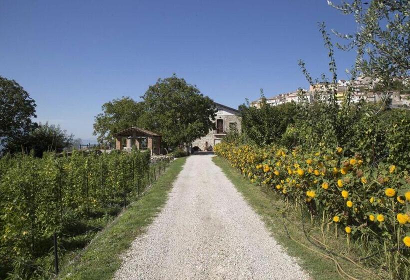 بنسيون Le Coste Affittacamere