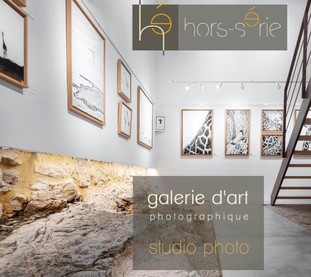 住宿加早餐  Hors Série En Périgord
