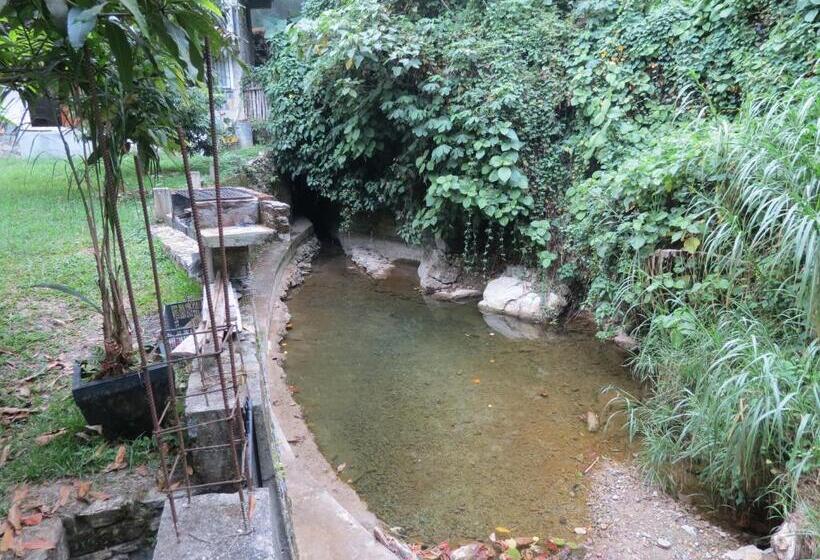 هتل Casa Verde Xilitla By Rotamundos