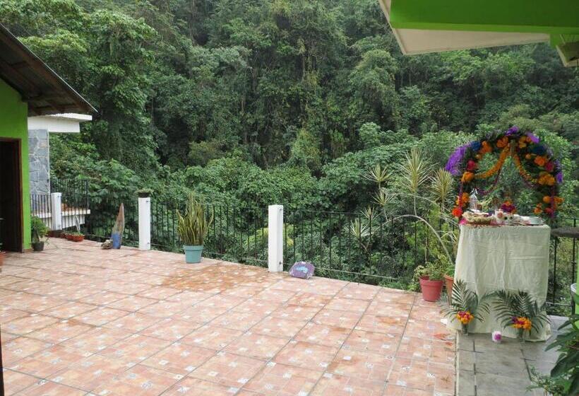 هتل Casa Verde Xilitla By Rotamundos