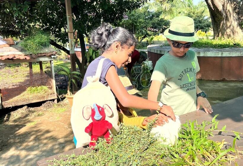 בית מלון כפרי Mango Tree Farm