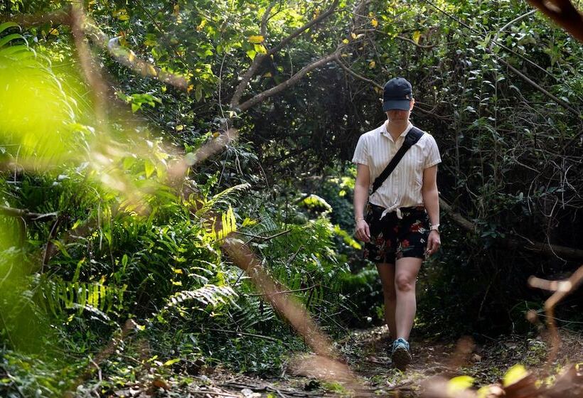 Отель Mtunzini Forest Lodge Self Catering Resort