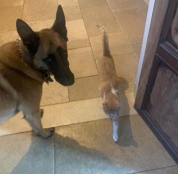 ベッドアンドブレックファースト Noubar