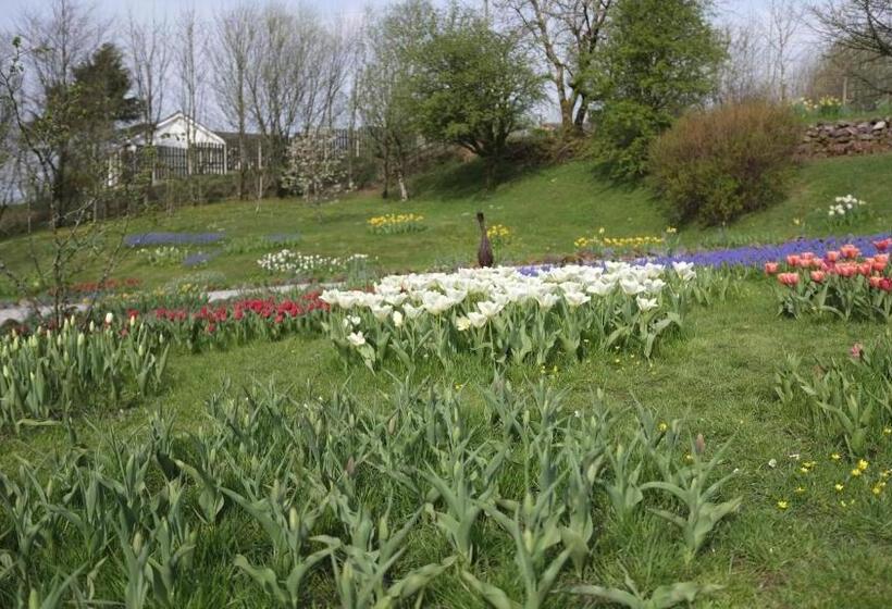 بنسيون Rowrah Hall