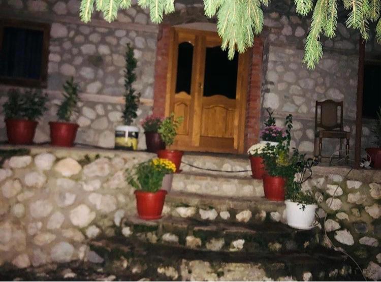 تختخواب و صبحانه Guest House Hyrmet Demushi