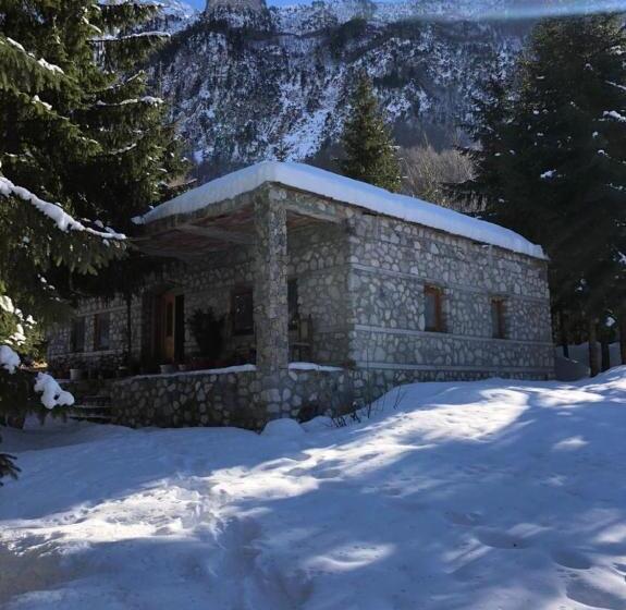 تختخواب و صبحانه Guest House Hyrmet Demushi
