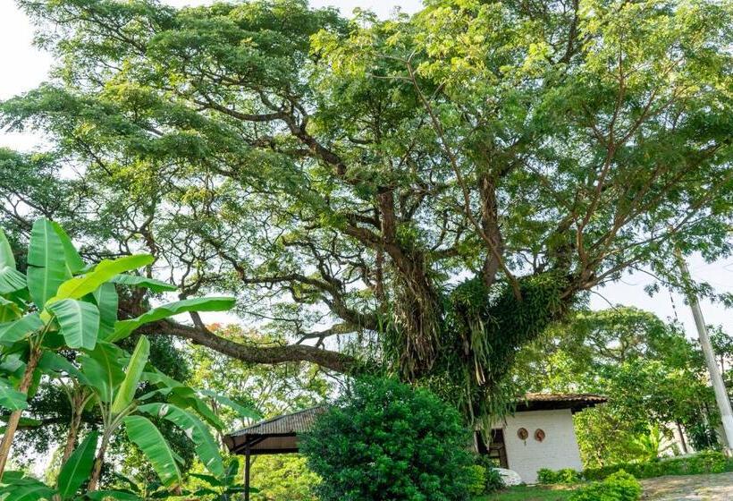 هتل Casa El Limonar Garzón Hospedaje Campestre