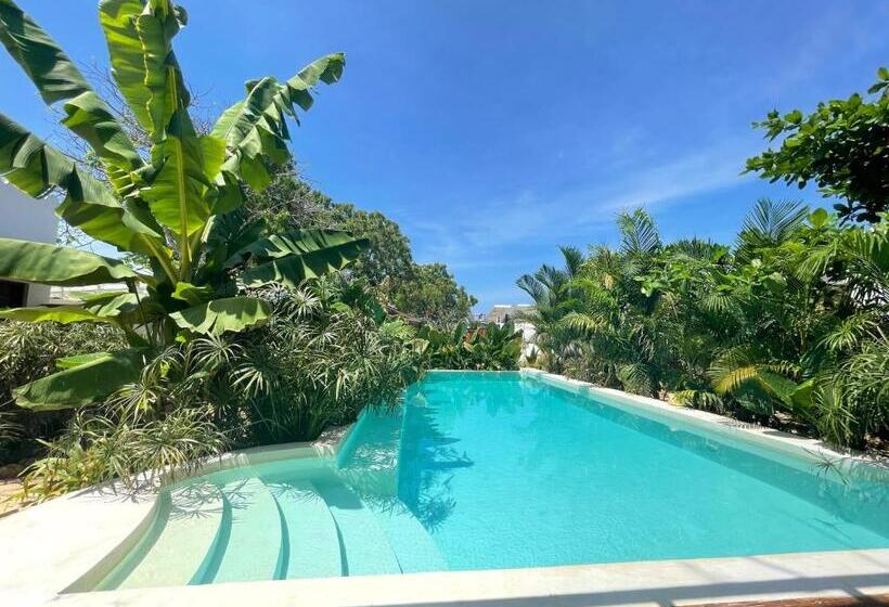 فندق Gaia Villas