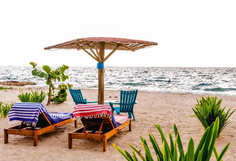 پانسیون Casa Sattva  Bed & Breakfast