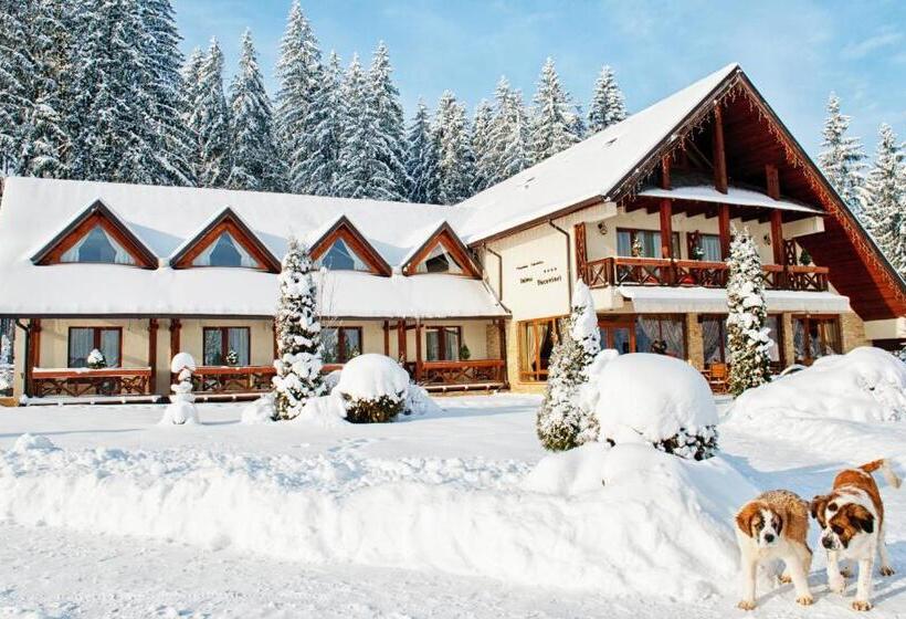 Pensiunea Inima Bucovinei