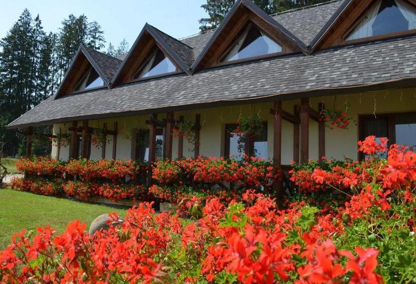 Pensiunea Inima Bucovinei