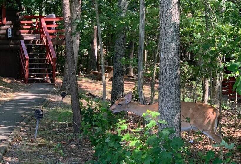 酒店 Bluegreen Vacations Shenandoah Crossing, Ascend Resort Collection