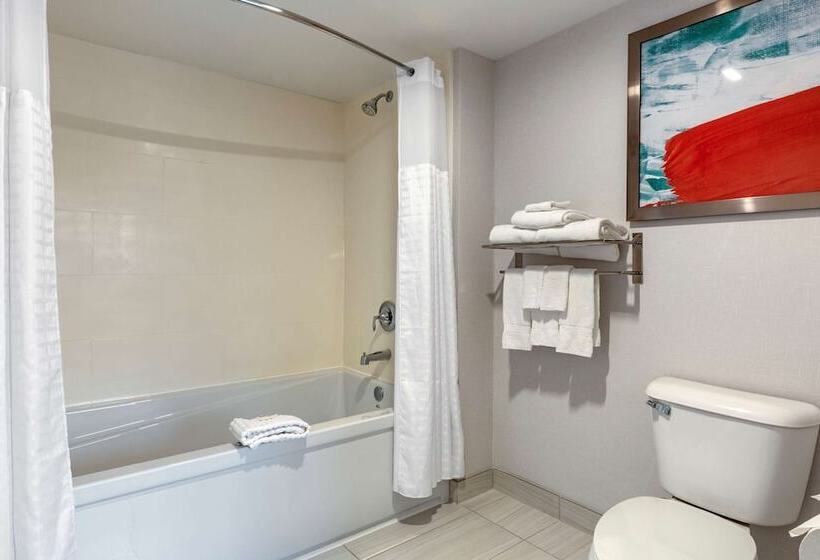 酒店 Comfort Inn & Suites