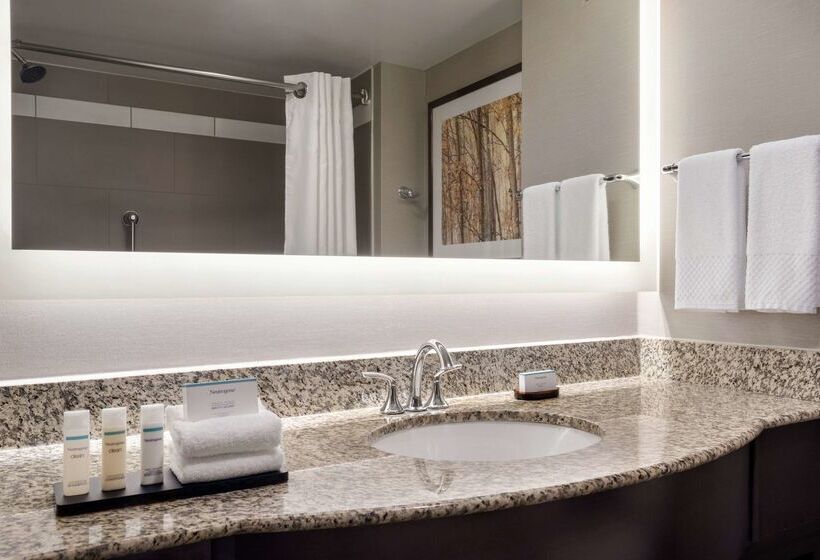 فندق Embassy Suites By Hilton Atlanta Alpharetta