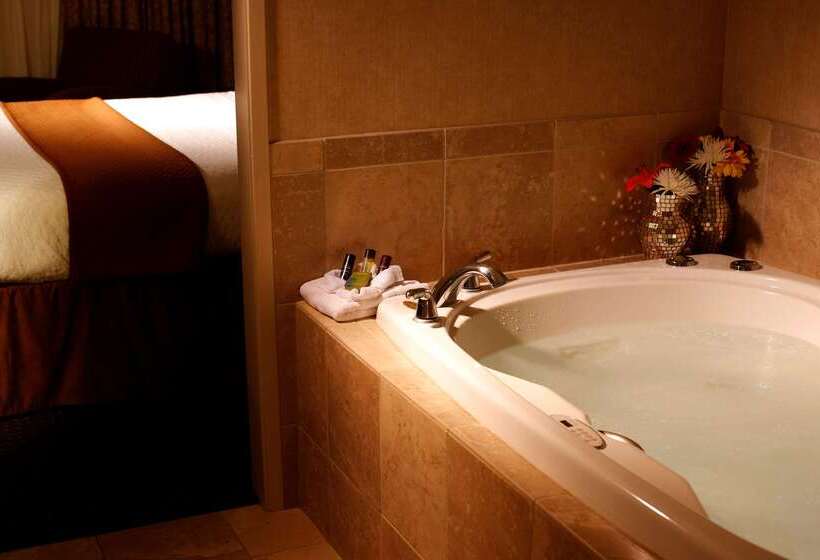 فندق Embassy Suites Lubbock