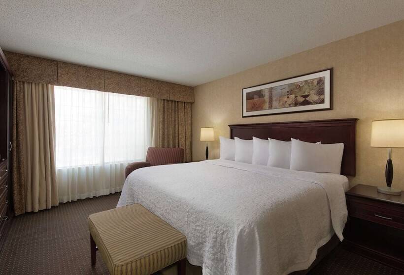 فندق Embassy Suites Lubbock