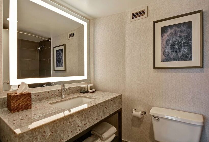 هتل Embassy Suites By Hilton Minneapolisairport