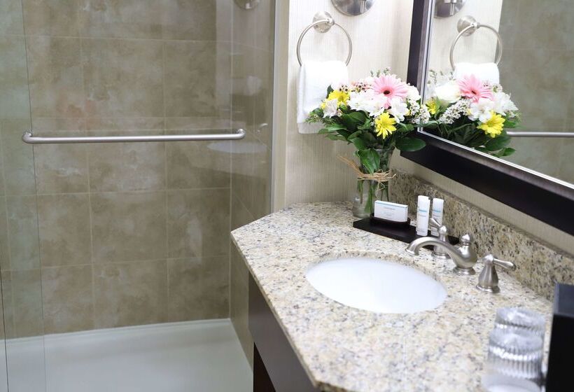 בית מלון כפרי Embassy Suites By Hilton Nashville At Vanderbilt