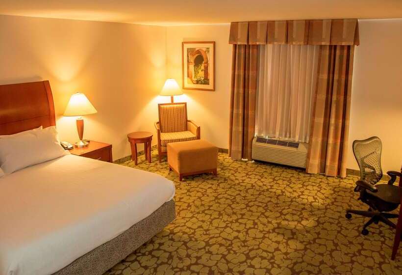 هتل Hilton Garden Inn Colorado Springs Airport