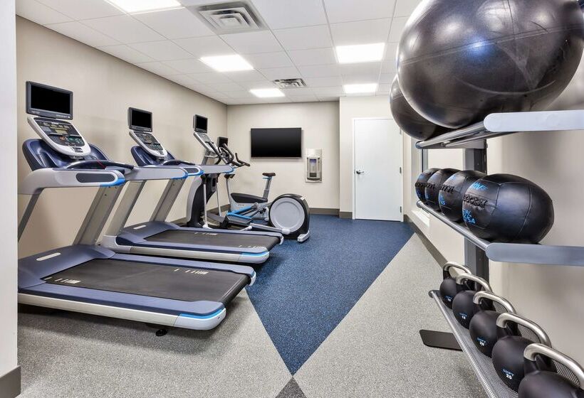 ホテル Hilton Garden Inn Minneapolis   Maple Grove