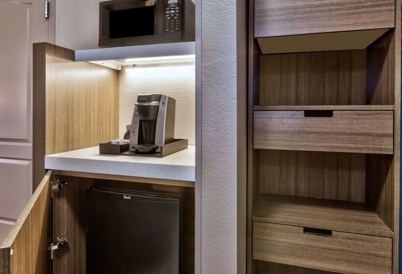 ホテル Hilton Garden Inn Minneapolis   Maple Grove