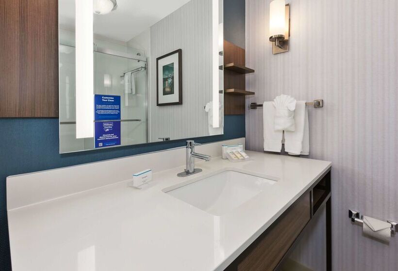 فندق Hilton Garden Inn Minneapolis   Maple Grove